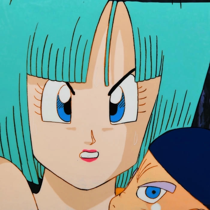 Ảnh Bulma 2