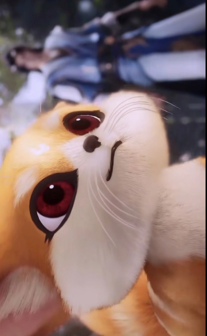 Hình ảnh Thon Thon 4k