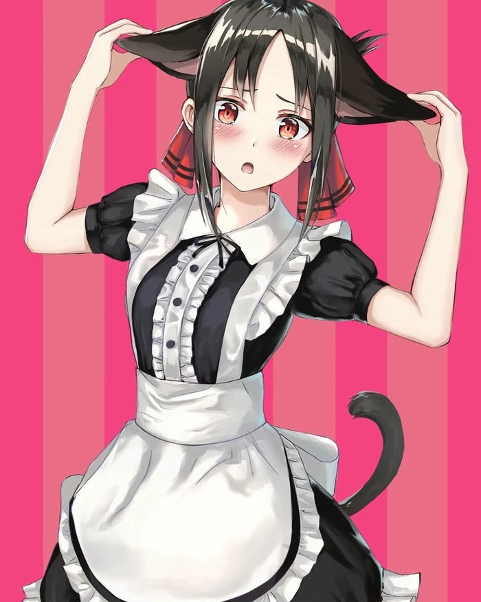 anh Kaguya Shinomiya 29