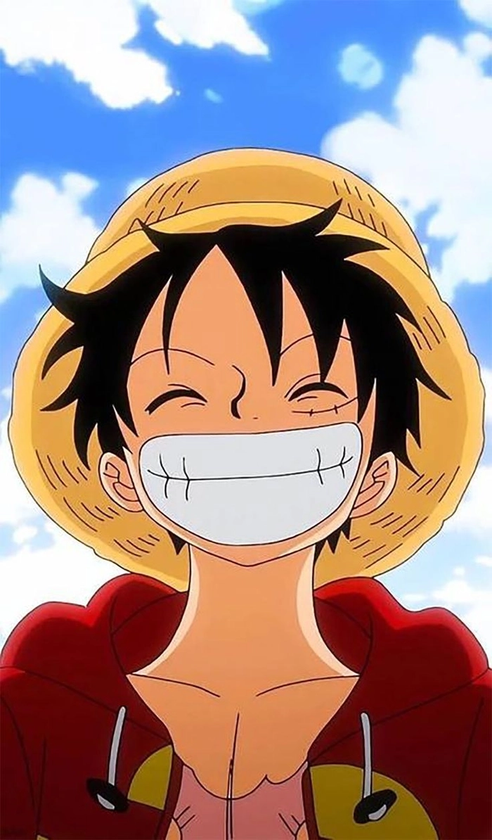 anh anime luffy 1
