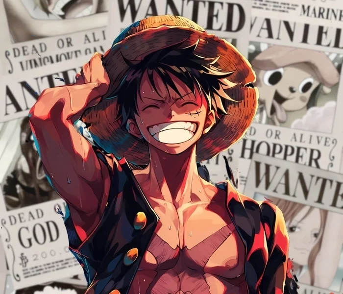 anh anime luffy 20