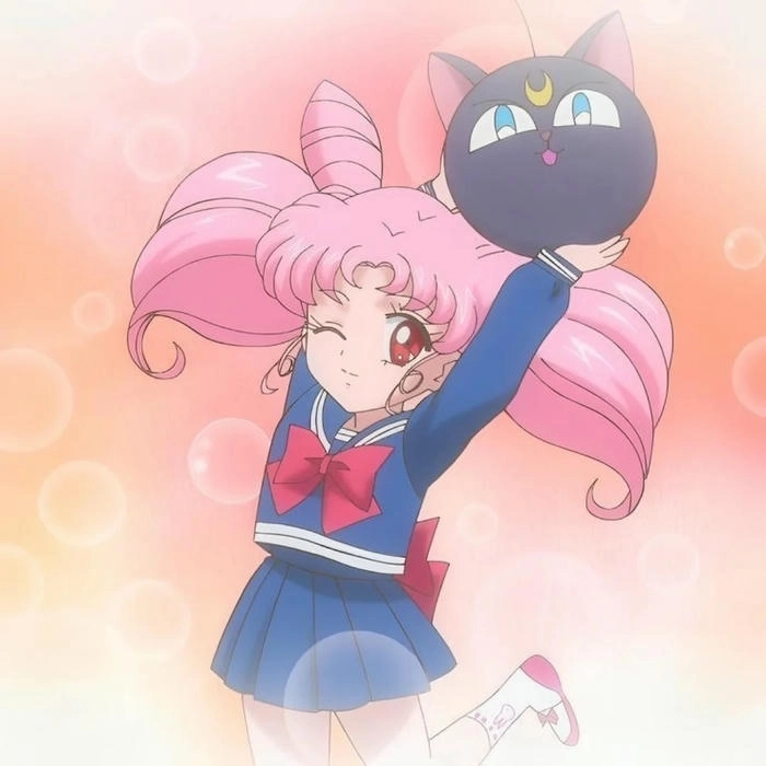 anh chibiusa 25