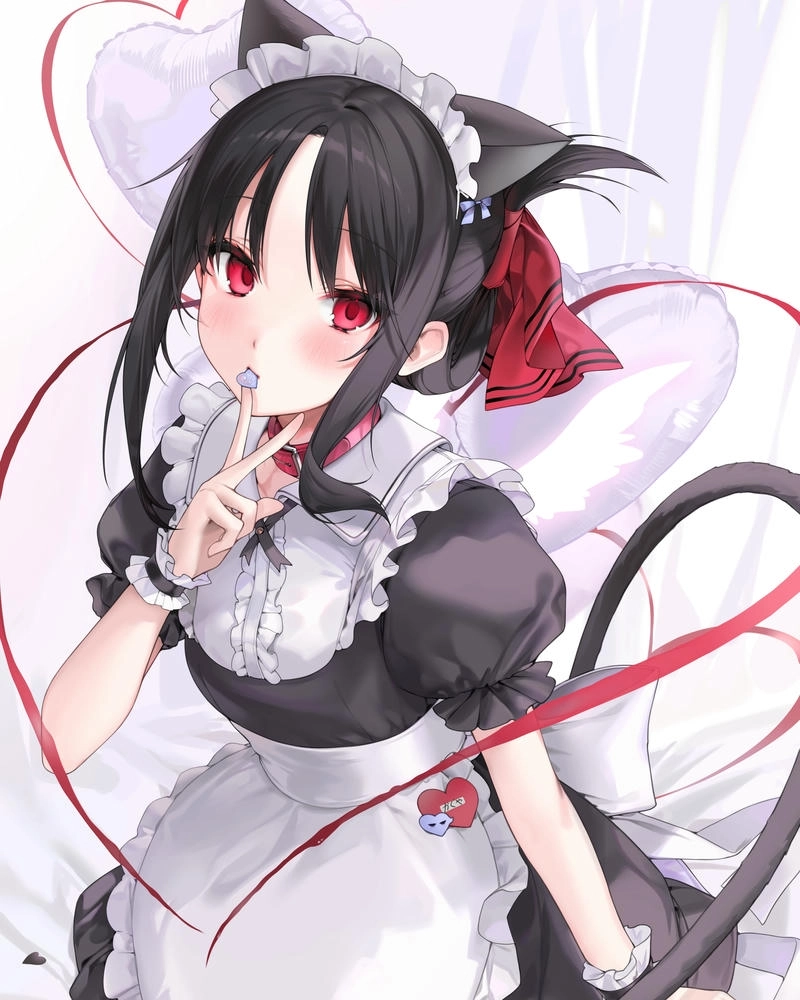 anh đẹp cua Kaguya