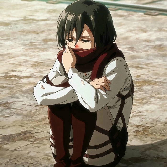 anh mikasa ackerman 1