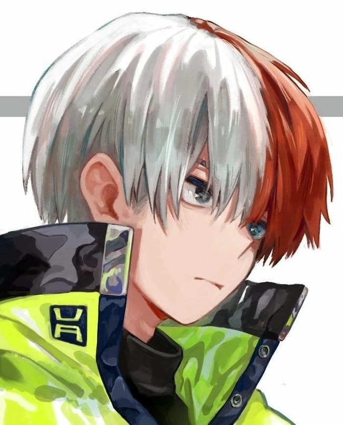 anh shoto todoroki 12