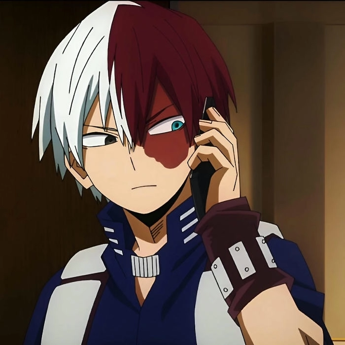 anh shoto todoroki 2