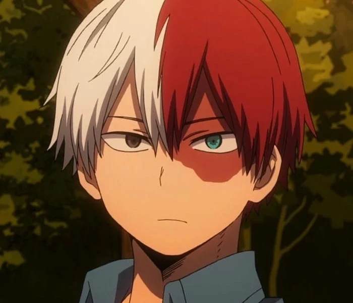 anh shoto todoroki 27