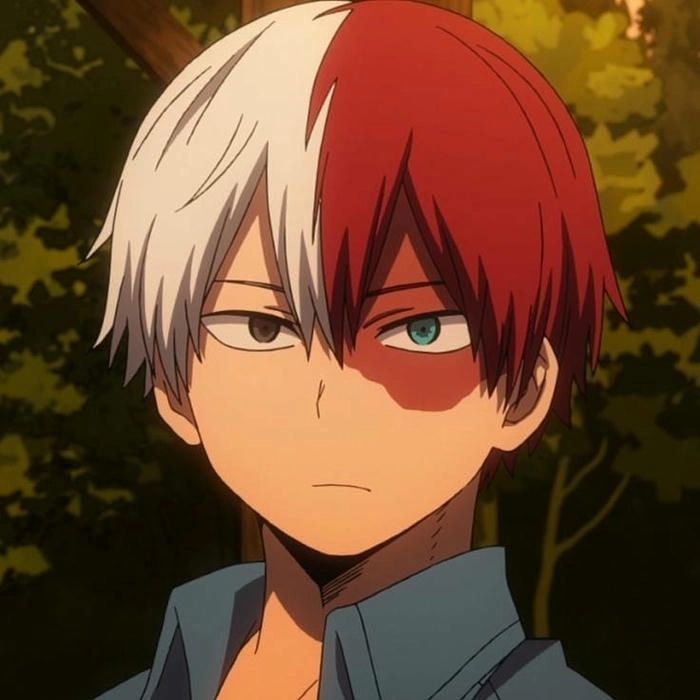 anh shoto todoroki 27