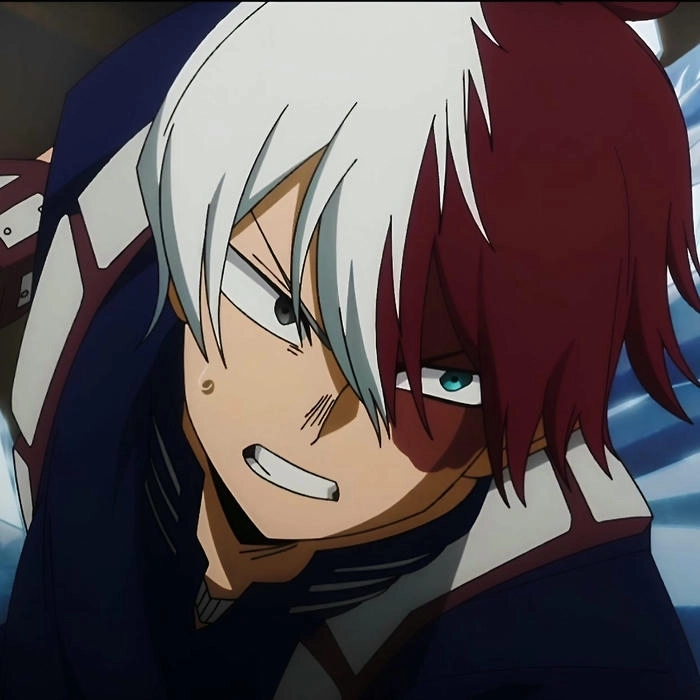 anh shoto todoroki 28