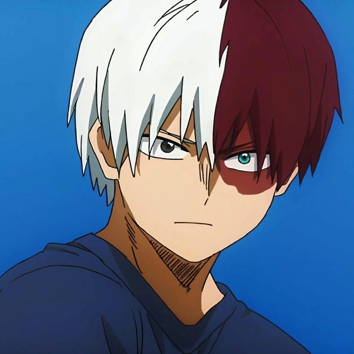 anh shoto todoroki 3