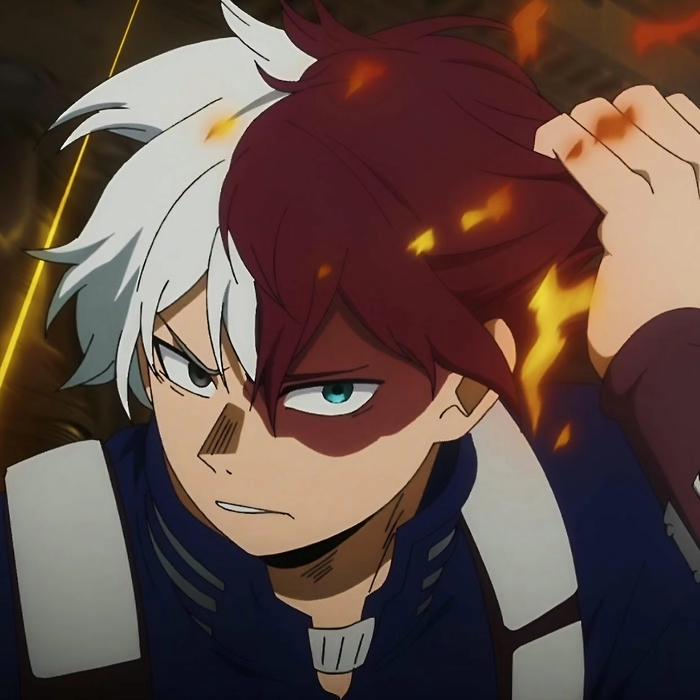 anh shoto todoroki 4
