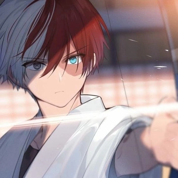 anh shoto todoroki 5