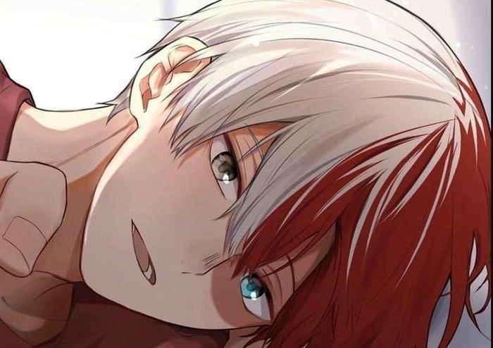 anh shoto todoroki 6