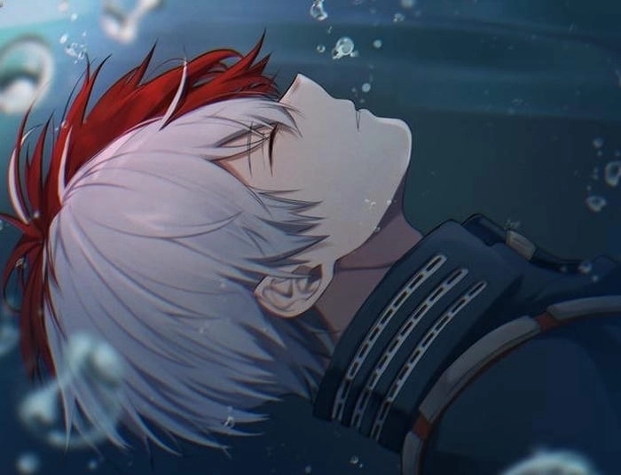 anh shoto todoroki 9