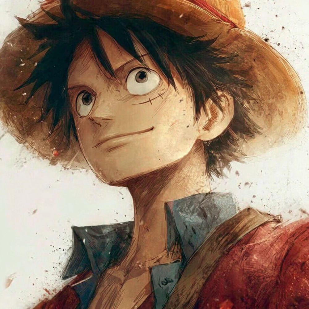 hình ảnh anime one piece